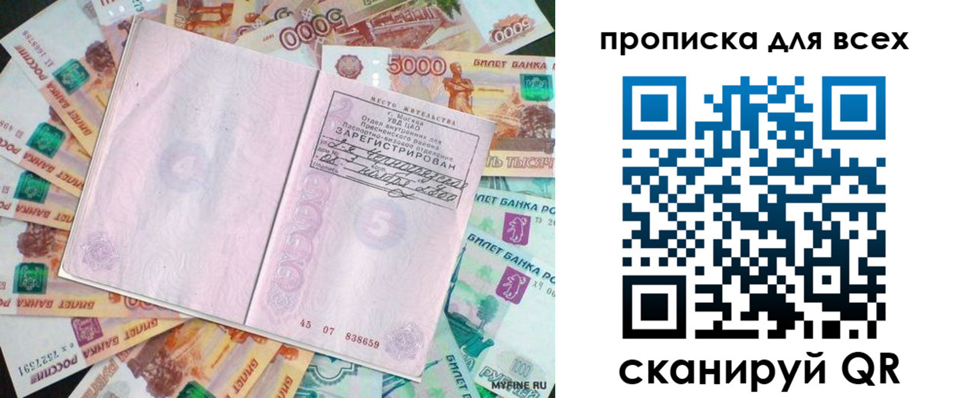 прописка штамп в Курской области