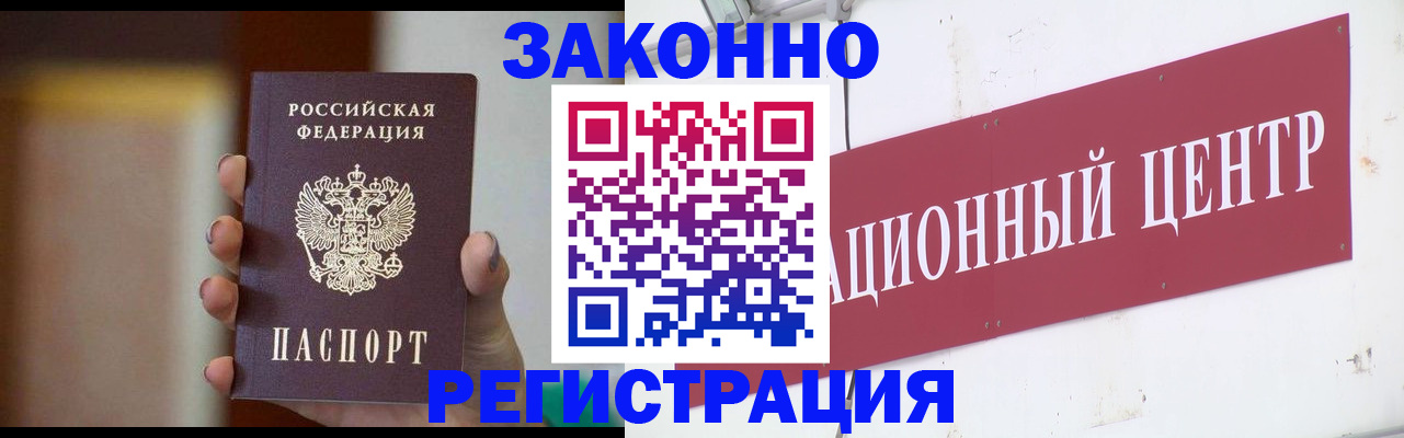 временная регистрация поиск в Курской области